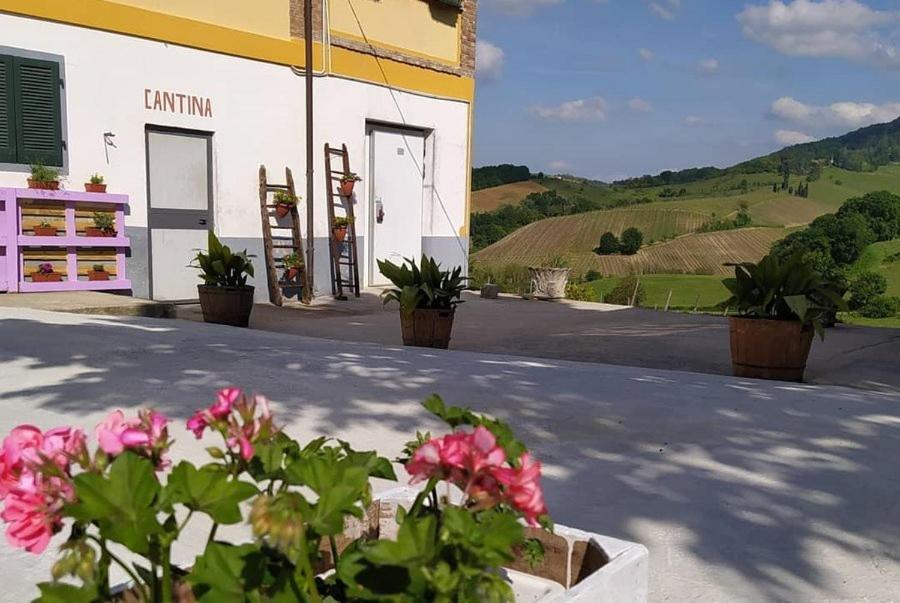 Cascina Angelina Villa Casteggio Esterno foto